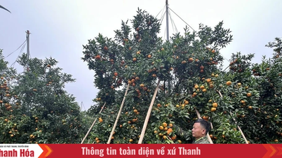 Xuan Binh is exploiting its potential and advantages for economic development.