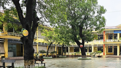 Sau bữa ăn trưa, nhiều học sinh một trường tiểu học ở Huế bị nôn ói