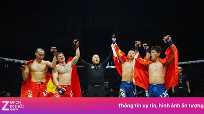 Lion Championship 29 und die Bestätigung des vietnamesischen Kämpfers.