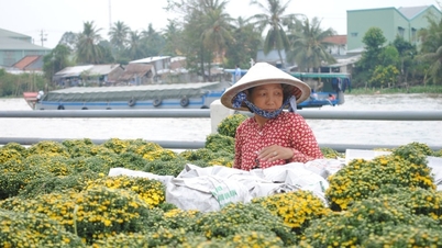 La profesión de cultivo de flores y plantas ornamentales de Sa Dec es Patrimonio Cultural Inmaterial Nacional.