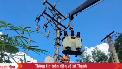 Regionální tým pro správu energie v Quan Hoa se zaměřuje na modernizaci systému elektrické sítě.