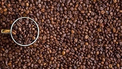 Les prix du café ont augmenté de manière généralisée sur le marché mondial.