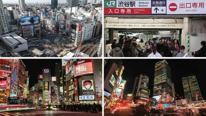 Cuộc đại tu Shibuya và kinh nghiệm tái phát triển đô thị từ Tokyo