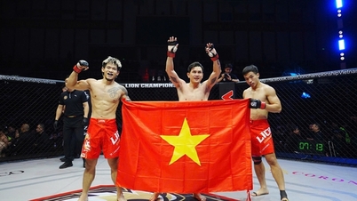 Lion Championship 29: Dấu ấn đậm nét của các võ sĩ Việt