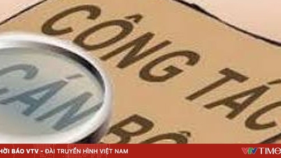 Standardy pro pozice ředitele, zástupce ředitele a ekvivalentní pozice.