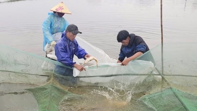 ຄອບຄົວທັງໝົດໄປຫາປາໃນລະດູການຫາປາຄັ້ງທີສາມ.