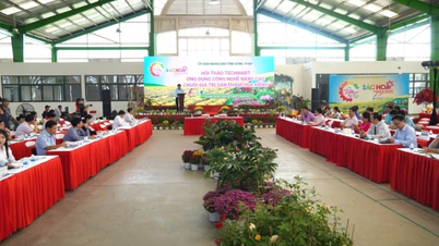 ការអនុវត្តបច្ចេកវិទ្យាដើម្បីបង្កើនខ្សែសង្វាក់តម្លៃនៃរុក្ខជាតិតុបតែង។