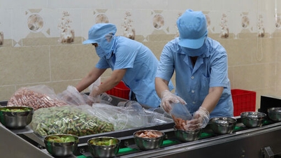 Hỗ trợ ứng dụng máy móc thiết bị trong sản xuất, đóng gói bánh tráng