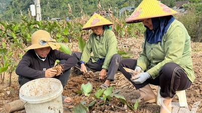 Na Rì chuyển mình từ những chính sách dân sinh