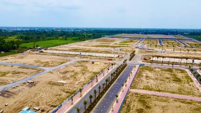 Ein Blick auf die Grundstücke, die demnächst in Hanoi versteigert werden, wobei die günstigsten bei 5 Millionen VND beginnen.