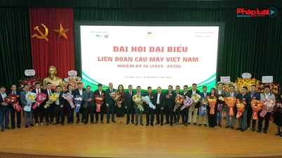 مسٹر Nguyen Van Hieu کو ویتنام Sepak Takraw فیڈریشن کے صدر کی ذمہ داری سونپی گئی ہے۔