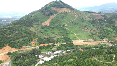 Khanh Hoa dağlık bölgesindeki tarım ürünlerinin değerini artırmak.