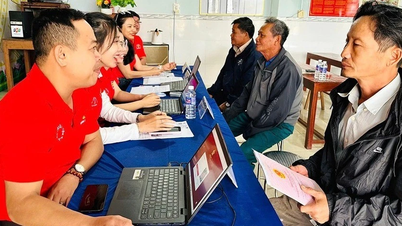 Phê duyệt 25 nhiệm vụ triển khai Hệ thống thông tin giải quyết thủ tục hành chính tập trung cấp bộ, cấp tỉnh