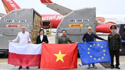 Polen stellt den Menschen in Dak Lak 7 Tonnen Hilfsgüter zur Verfügung.