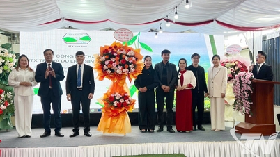 จัดตั้งสหกรณ์ชาและการท่องเที่ยวเชิงนิเวศน์แวนภู