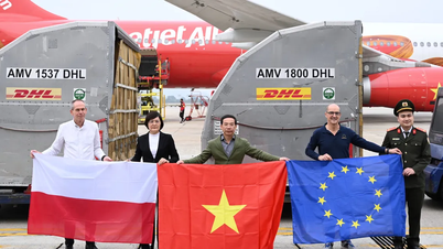 We hebben 7 ton hulpgoederen uit Polen ontvangen voor de inwoners van de provincie Dak Lak.