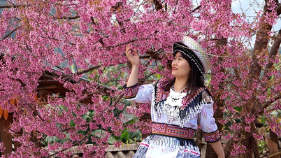 Mùa hoa đầu tiên