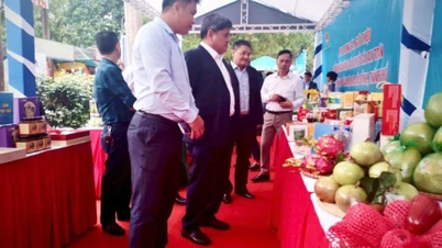 Đồng Tháp nâng chất chuỗi nông sản an toàn, mở rộng kết nối thị trường Hà Nội