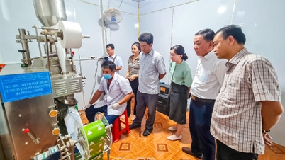 Ðộng lực cho công nghiệp nông thôn phát triển