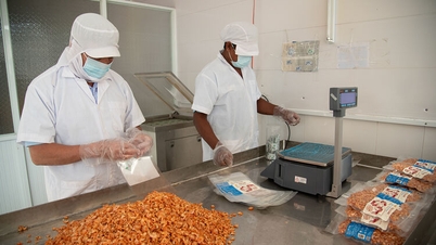 Los precios de los mariscos secos están aumentando debido a la escasez de materias primas.
