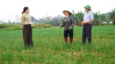 Chuyển đổi cơ cấu cây trồng, nâng cao giá trị sản xuất