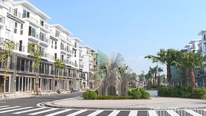 Palm Manor đã hoàn thiện 258 căn nhà