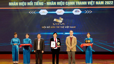 Công ty CP Việt Trung Quảng Bình: 65 năm một niềm tin vững bền