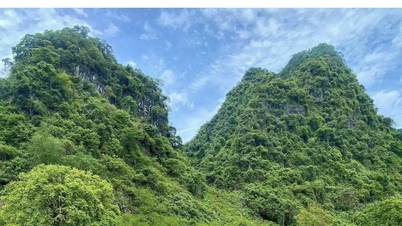 ہوانگ ڈنہ کنہ - ایک لچکدار Tay رہنما