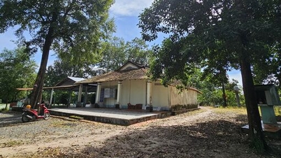 Truong Mit Tempel – Ein historischer Zeuge inmitten üppigen Grüns.