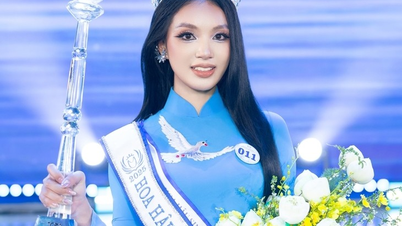 Hoa hậu Sinh viên Hòa bình Việt Nam 2025 nhận thưởng khoảng 2 tỷ đồng