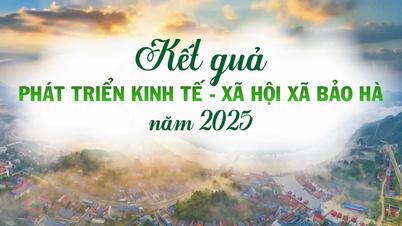 [Infografía] Resultados del desarrollo socioeconómico de la comuna de Bao Ha en 2025