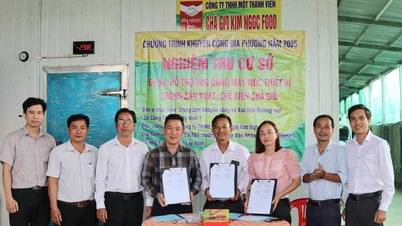 Al utilizar maquinaria moderna, Kim Ngoc Food mejora la calidad de sus productos de rollitos de primavera.