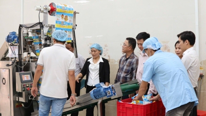 Die Industrieförderung arbeitet mit Unternehmen zusammen, um die Marke des Tay Ninh Reispapiersalats zu stärken.