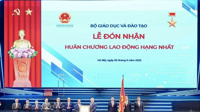 10 ความสำเร็จที่โดดเด่นในด้านการศึกษาและการฝึกอบรมในปี 2025