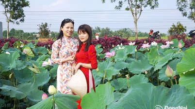Xuan Phu streeft naar groene ontwikkeling.