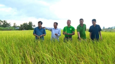 Kiến tạo hệ sinh thái nông nghiệp bền vững tại Việt Nam