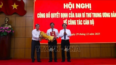 El Comité Provincial del Partido de Tay Ninh anuncia decisiones sobre asuntos de personal.