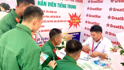 Le centre de services d'emploi de Hai Phong – un exemple brillant de placement professionnel.