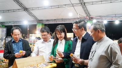 La foire COCP de Da Nang 2025 est un événement dynamique.