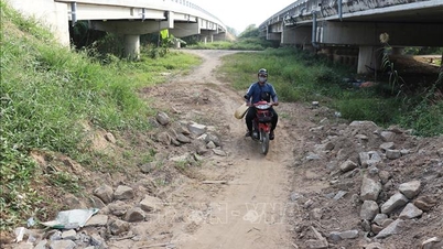 Det er nødvendig å bygge et forbindelsespunkt til lokalveien langs ruten Cao Lãnh - Lộ Tẻ.