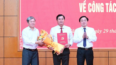 El Presidente del Comité de Inspección del Comité del Partido Provincial de Vinh Long es designado Presidente del Comité de Inspección del Comité del Partido Provincial de Tay Ninh.