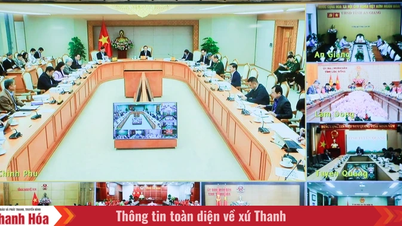 Başbakan Yardımcısı Tran Hong Ha, tarım ve çevre alanlarındaki yönetmelikleri değiştiren ve tamamlayan taslak kararnameler hakkındaki raporu dinledi.