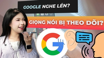 Google có đang thu thập dữ liệu giọng nói người dùng?
