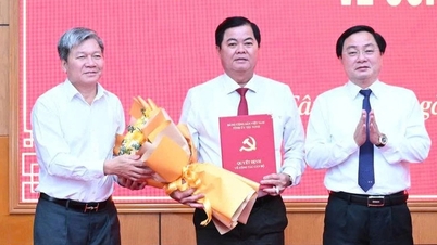 นายบุย วัน โน ดำรงตำแหน่งประธานคณะกรรมการตรวจสอบของคณะกรรมการพรรคประจำจังหวัดเตย์นิงห์