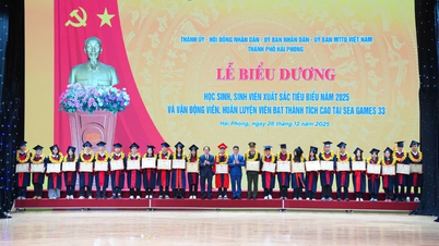 Hai Phong memberikan penghargaan kepada siswa, atlet, dan pelatih yang berprestasi.