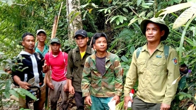 „Doppelter Nutzen“ aus der Waldschutzvertragspolitik in Khanh Hoa