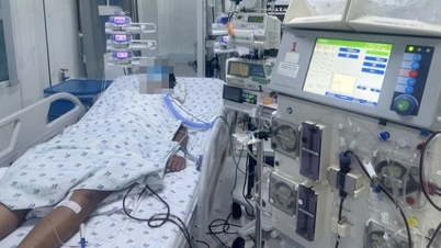 Ca bệnh cực hiếm ở TPHCM, cả thế giới chưa đến 100 ca trong 43 năm