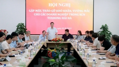 Ban Quản lý KKT tỉnh: Vai trò nòng cốt thúc đẩy phát triển công nghiệp chế biến, chế tạo