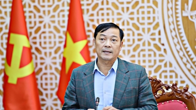 Sửa đổi 12 nghị định về nông nghiệp, môi trường để phù hợp với thực tiễn
