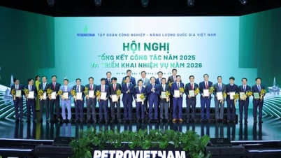 У 2025 році BSR була удостоєна двох видатних нагород від Petrovietnam.